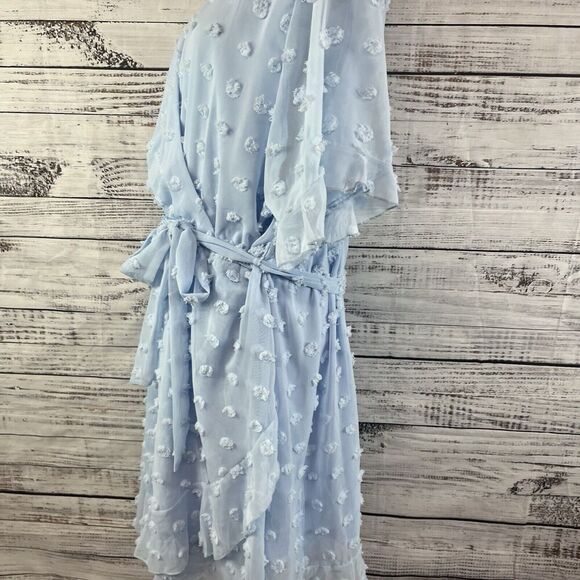 Plushe Dress Plus sz 4XL Light Blue Sheer Swiss Dots Knee A Line Wedding Church - Picture 12 of 15